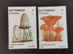 Botswana 1982 - Kerstmis - paddenstoelen, Ophalen of Verzenden, Overige landen, Postfris