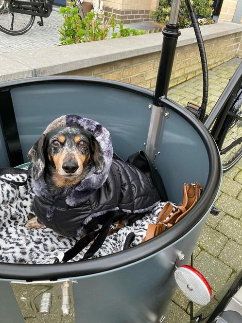Bakfiets nihola low elektrische, Fietsen en Brommers, Elektrische fietsen, Nieuw, Minder dan 47 cm, 50 km per accu of meer, Ophalen