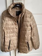 Winterjassen massimo dutti maat 36-38, Kleding | Dames, Jassen | Winter, Verzenden, Maat 36 (S)