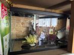 Aquarium 50 LITER & decoratie, Ophalen, Gebruikt, Leeg aquarium