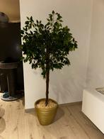 Kunstplant met pot, Huis en Inrichting, Woonaccessoires | Kunstplanten en Kunstbloemen, Ophalen, Zo goed als nieuw