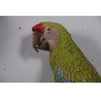 Buffons Macaws – Papegaai –  set 2 hoogte 70 cm, Nieuw, Ophalen of Verzenden