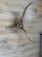 Grote gouden skull, Ophalen, Zo goed als nieuw