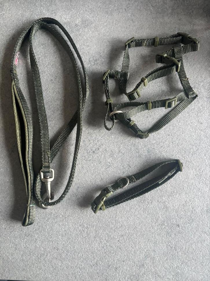 Halsband, leiband en tuig - Kaki - Trixie, Dieren en Toebehoren, Hondenhalsbanden en Penningen, Nieuw, Ophalen