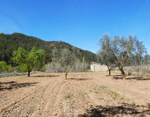 Finca à Caseres (Catalogne) - 1003, Immo, Étranger, Espagne, Terrain ou Parcelle, Village