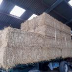 Paille 2025, Enlèvement