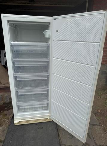 Diepvries Castor met 6 vakjes beschikbaar voor biedingen