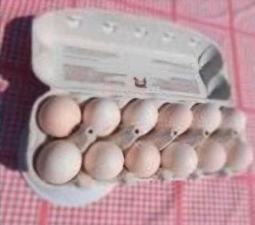Broedeieren Poule de Bresse , witte kleur, raszuiver, Dieren en Toebehoren