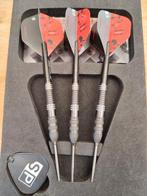 RVB x Echo 25g, Sport en Fitness, Darts, Ophalen of Verzenden, Zo goed als nieuw, Flights