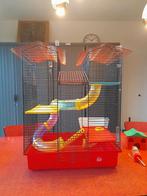 Hamsterhok met toebehoren, Dieren en Toebehoren, Ophalen, Gebruikt, 60 tot 90 cm, Minder dan 75 cm