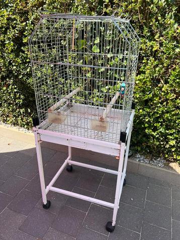 Cage Perroquet Pérruche oiseaux beschikbaar voor biedingen