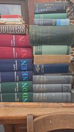 Woorden boeken dikke vandale, Boeken, Woordenboeken, Ophalen, Zo goed als nieuw