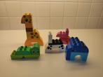 10573 Creatieve dieren, Ophalen, Gebruikt, Duplo