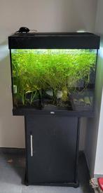 Aquarium met kast lido 120, Dieren en Toebehoren, Ophalen, Zo goed als nieuw