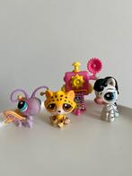 Littlest pet shop photographe léopard, zèbre et papillon, Utilisé