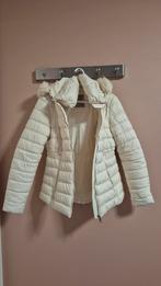 Witte jas van Guess maat M, Kleding | Dames, Jassen | Winter, Maat 38/40 (M), Guess, Wit, Ophalen of Verzenden