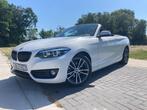 BMW 218 Cabrio LED*LEDER*GPS 12M GARANTIE, 4 zetels, Leder, Particulier, 3 cilinders
