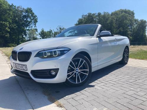 BMW 218 Cabrio LED*LEDER*GPS 12M GARANTIE, Auto's, BMW, Particulier, 2 Reeks, ABS, Airbags, Airconditioning, Bluetooth, Boordcomputer