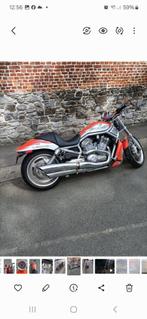 Moto v rod sceamin eagle, Motos, Motos | Harley-Davidson, 1250 cm³, Particulier
