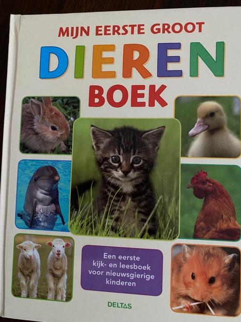 Mijn eerste groot dierenboek, Livres, Livres pour enfants | 4 ans et plus, Comme neuf, Non-fiction, 5 ou 6 ans, Garçon ou Fille