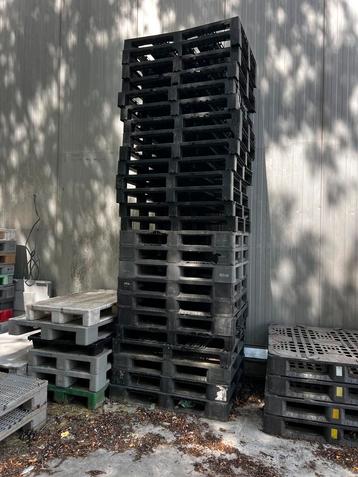 Plastiek paletten te koop beschikbaar voor biedingen