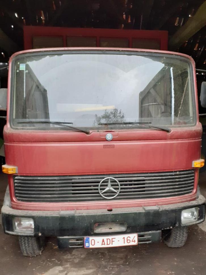 paardenvervoer, Dieren en Toebehoren, Rijtuigen en Koetsen