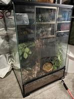 Terrarium giganterra, Zo goed als nieuw