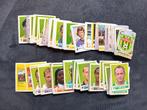 panini stickers Football 2004, Ophalen of Verzenden, Nieuw, Meerdere stickers
