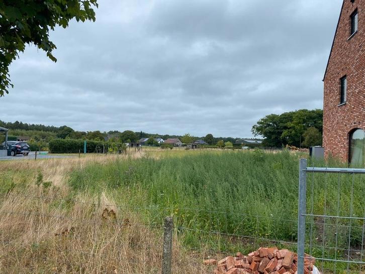 bouwgrond Trichterweg, Zutendaal 1518m², Immo, Gronden en Bouwgronden, 1500 m² of meer, Verkoop zonder makelaar