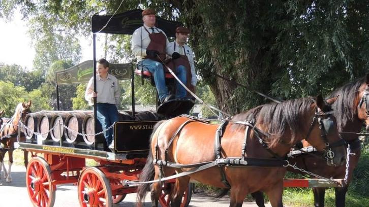 Antieke Engelse Bierdraw Bierkoets van rond 1900, Dieren en Toebehoren, Rijtuigen en Koetsen, Gebruikt, Overige typen, Paard of Pony