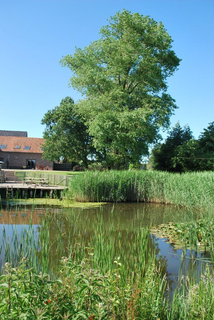 Gezellig verblijf in de Westhoek 1-4 pers:KERSTVAKANTIE, Vakantie, Vakantiehuizen | België, Antwerpen of Vlaanderen, Appartement