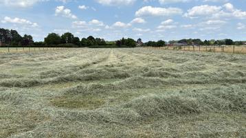 Droog hooi 1e snede 2025 grote pakken 70x120x160 beschikbaar voor biedingen
