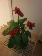 Te koop mooie kunstplant met bloempot, Ophalen
