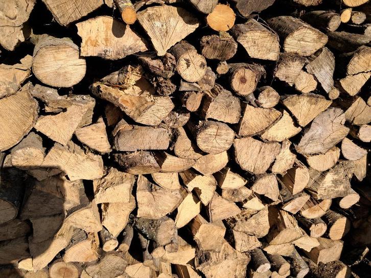 Bois de chauffage sec - charme, frêne, chêne 50 cm, Jardin & Terrasse, Bois de chauffage, Bûches, Autres essences de bois, 3 à 6 m³