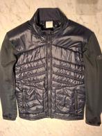 BOGNER veste matelassée bleu M, Enlèvement ou Envoi, BOGNER, Comme neuf, Bleu