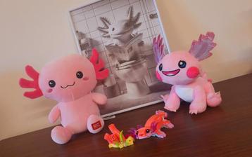 Axolotl spullen  beschikbaar voor biedingen