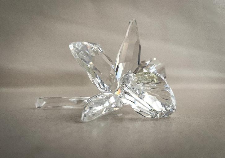 Te koop Swarovski beeldjes, Collections, Statues & Figurines, Comme neuf, Animal, Enlèvement