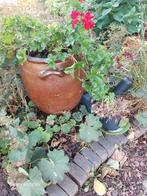 3 stuks Boterpotten voor bloemen e.a., Ophalen