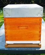 ruches Dadant 10 cadres + colonies d'abeilles Buckfast, Ophalen, Nieuw