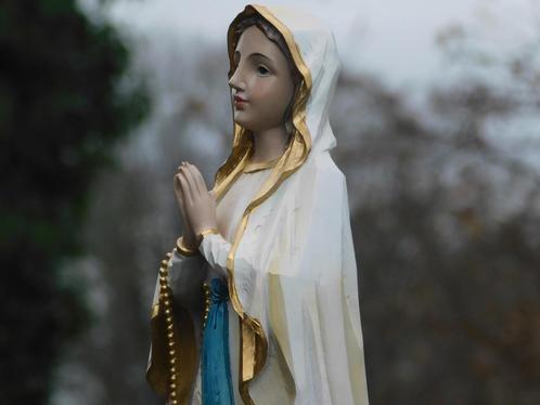 maria met rozenkrans , heilige Maria beeld, Collections, Religion, Neuf, Enlèvement ou Envoi