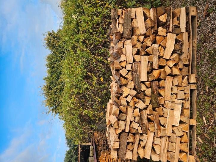 Brandhout eik, Tuin en Terras, Brandhout, Stammen, Eikenhout, Ophalen