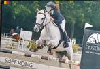D pony te koop, Dieren en Toebehoren, Pony's, Ruin, D pony (1.37m tot 1.48m), Springpony, 7 tot 10 jaar