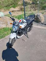 Yamaha FZ6, Motoren, Motoren | Yamaha, 4 cilinders, Particulier, Meer dan 35 kW, Overig