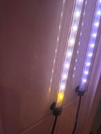 Aquarium juwel, Dieren en Toebehoren, Ophalen