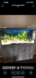Aquarium Aquatlantis avec meuble Presque neuf + accessoires, Dieren en Toebehoren, Ophalen, Zo goed als nieuw