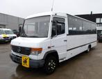 Mercedes Vario 813 personenbus (602), 4250 cc, Wit, Mercedes-Benz, Euro 4