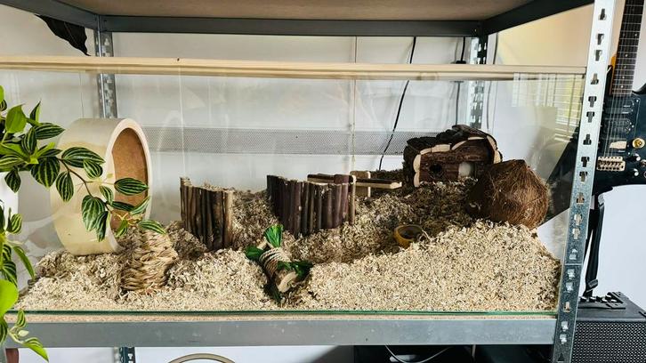 Hamsterkooi, Dieren en Toebehoren, Knaagdieren en Konijnen | Hokken en Kooien, Zo goed als nieuw, Ophalen