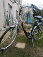 Elektrische fiets TALENT midden motor, Jardin & Terrasse, Écrans de jardin, Comme neuf, Enlèvement ou Envoi