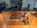 Aquarium met toebehoren voor waterschildpad, Ophalen, Zo goed als nieuw, Leeg aquarium