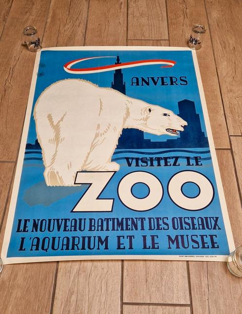Affiche ancienne Zoo des ours polaires d'Anvers, Collections, Posters & Affiches, Comme neuf, Animal et Nature, A1 jusqu'à A3